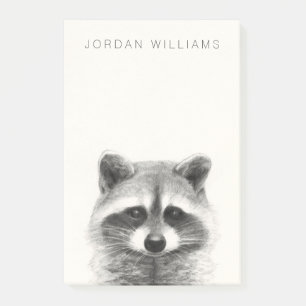 Raccoon Pencil Drawing Post-it Notes