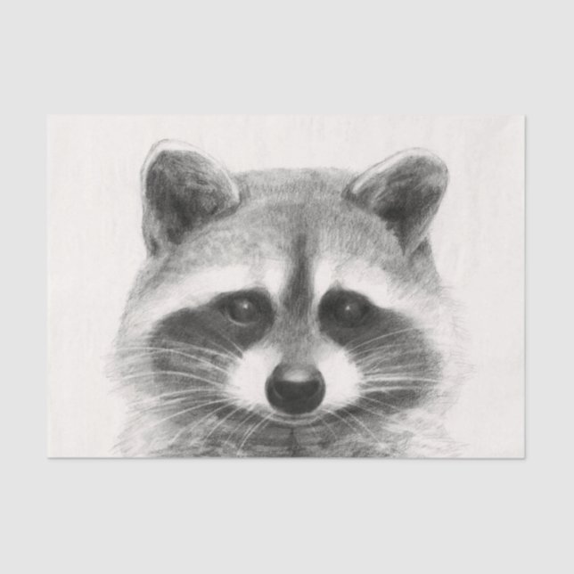 Raccoon Pencil Drawing Tissue Paper (Front)