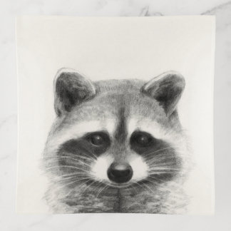 Raccoon Pencil Drawing Trinket Tray