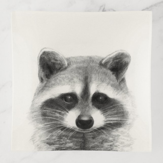 Raccoon Pencil Drawing Trinket Tray (Front)