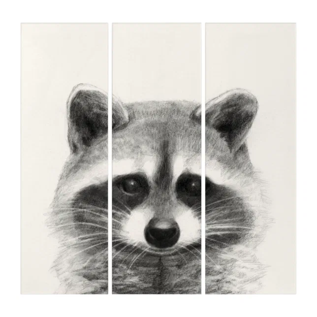 Raccoon Pencil Drawing Triptych | Zazzle
