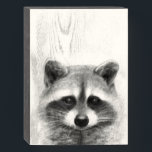 Raccoon Pencil Drawing Wooden Box Sign<br><div class="desc">Raccoon Pencil Drawing by Victoria Borges</div>