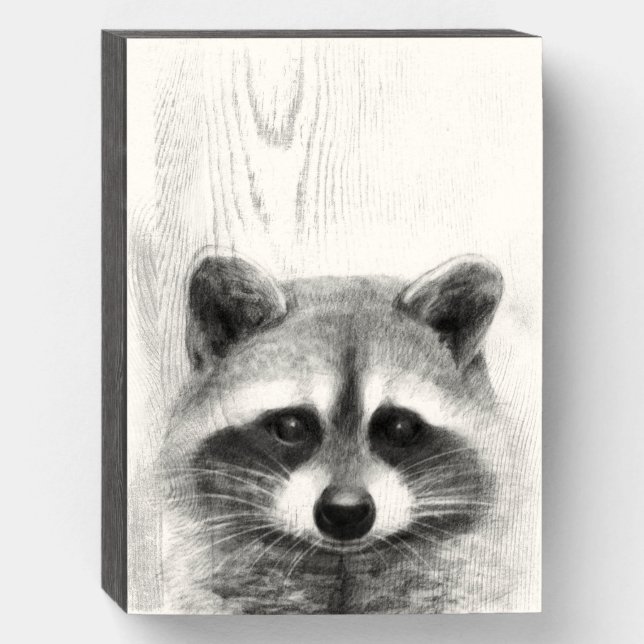 Raccoon Pencil Drawing Wooden Box Sign (Front Vertical)