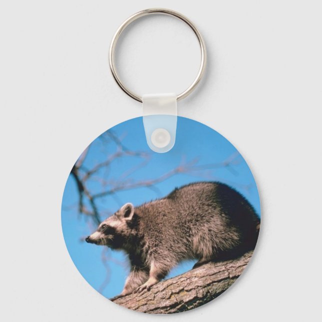 Raccoon Perched Keychain (Front)