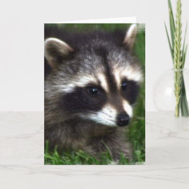 Raccoon Photo Greeting Card (Front)