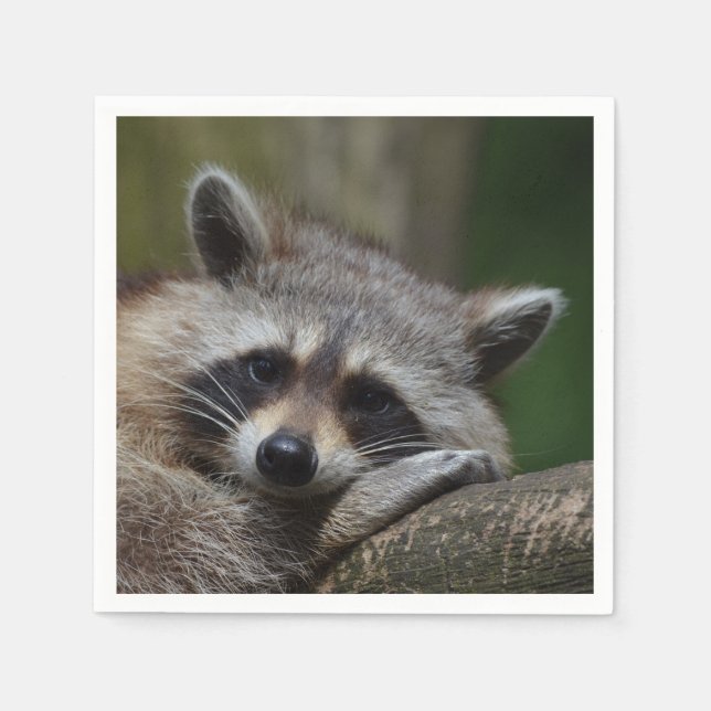 Raccoon Photo Napkins (Front)