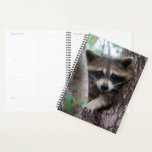 Raccoon Planner at Zazzle