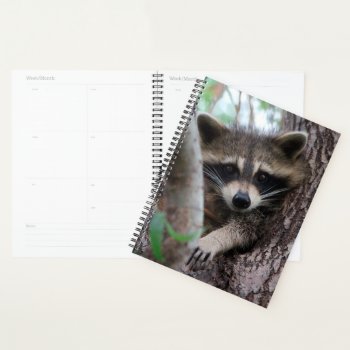 Raccoon Planner by NatureTales at Zazzle