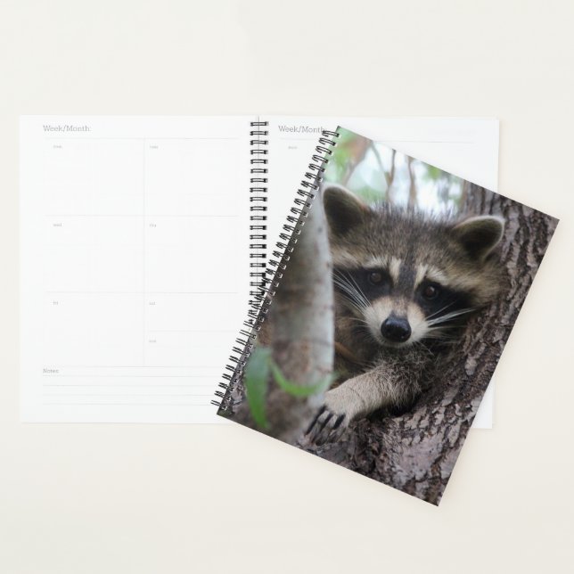 Raccoon Planner (Display)