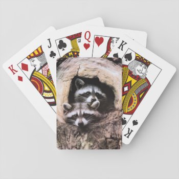 Raccoon Playing Cards by walkandbark at Zazzle