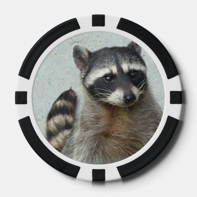 Raccoon Poker Chips (Front)