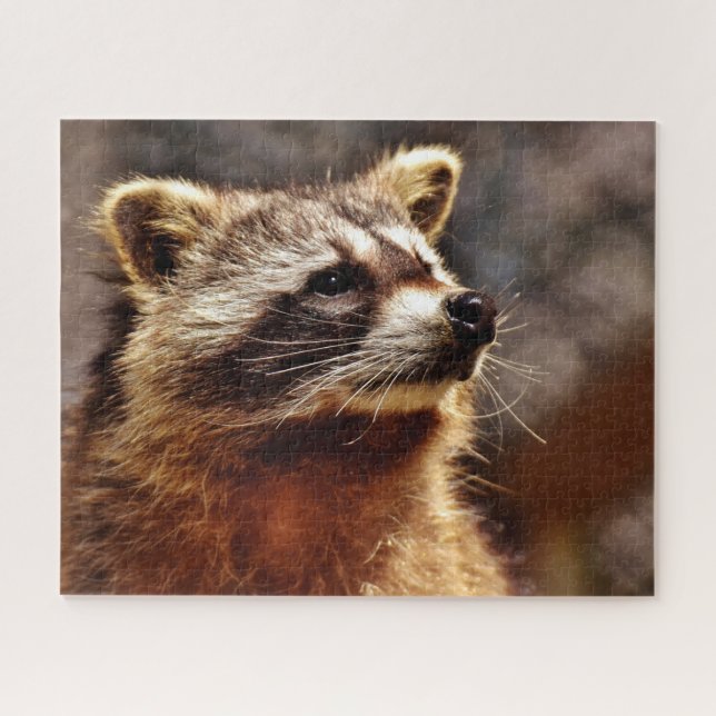 Raccoon Portrait, Jigsaw Puzzle (Horizontal)