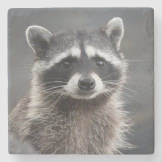 Raccoon Portrait Stone Coaster