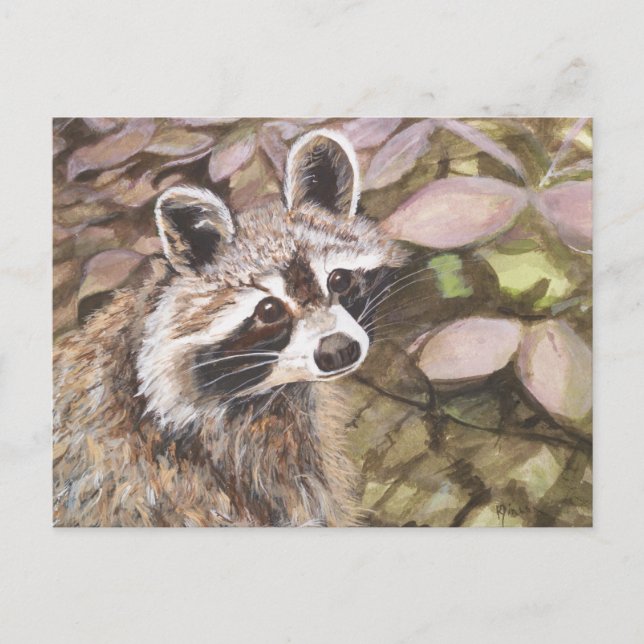 Raccoon Post Card (Front)