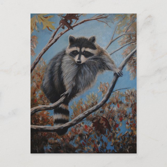 Raccoon Postcard (Front)