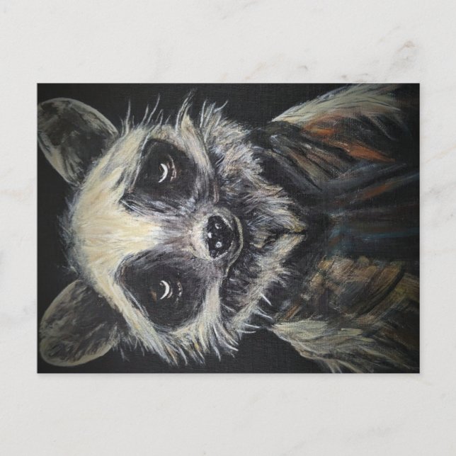 Raccoon Postcard (Front)