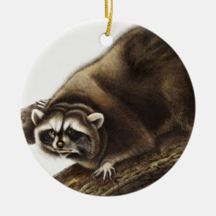 Raccoon (Procyon lotor) Illustration Ceramic Ornament