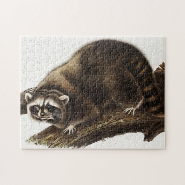 Raccoon (Procyon lotor) Illustration Jigsaw Puzzle (Horizontal)