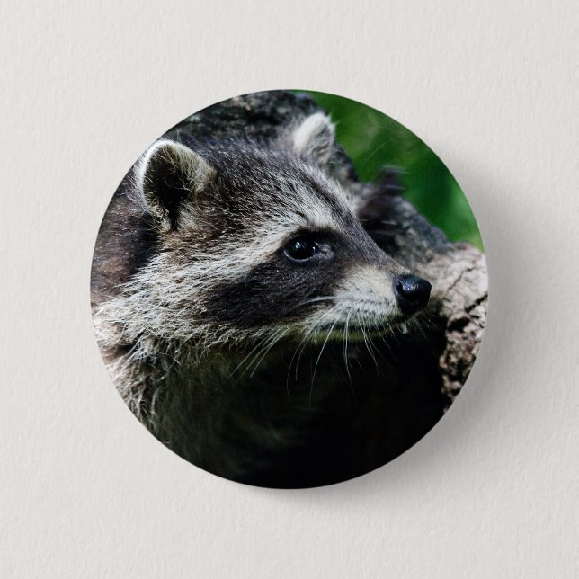 Raccoon Profile Button (Front)