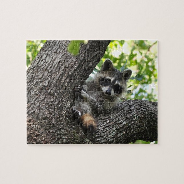 Raccoon - puzzle (Horizontal)