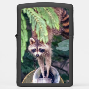 Raccoon Raiding the Bird Feeder Zippo Lighter