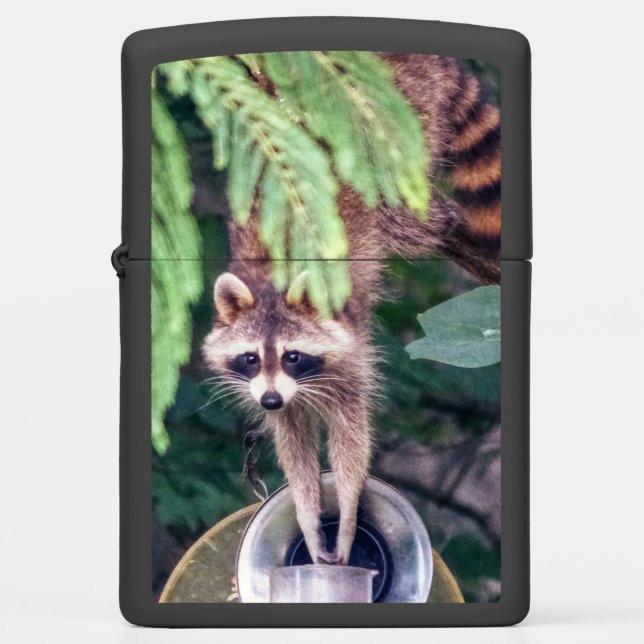 Raccoon Raiding the Bird Feeder Zippo Lighter (Front)