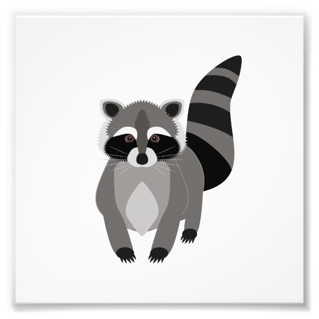 Raccoon Rascal Photo Print (Front)