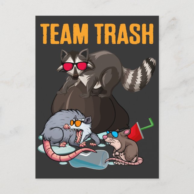 Raccoon Rat Trash Panda Garbage Animal Humor Postcard (Front)