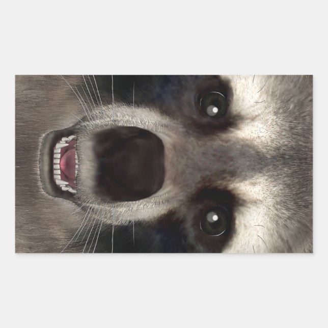 Raccoon Rectangular Sticker (Front)