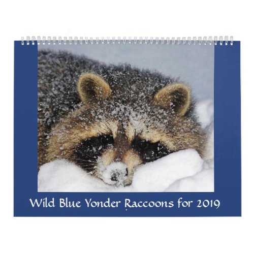 Raccoon Rescue  Release at Wild Blue Yonder 2019 Calendar