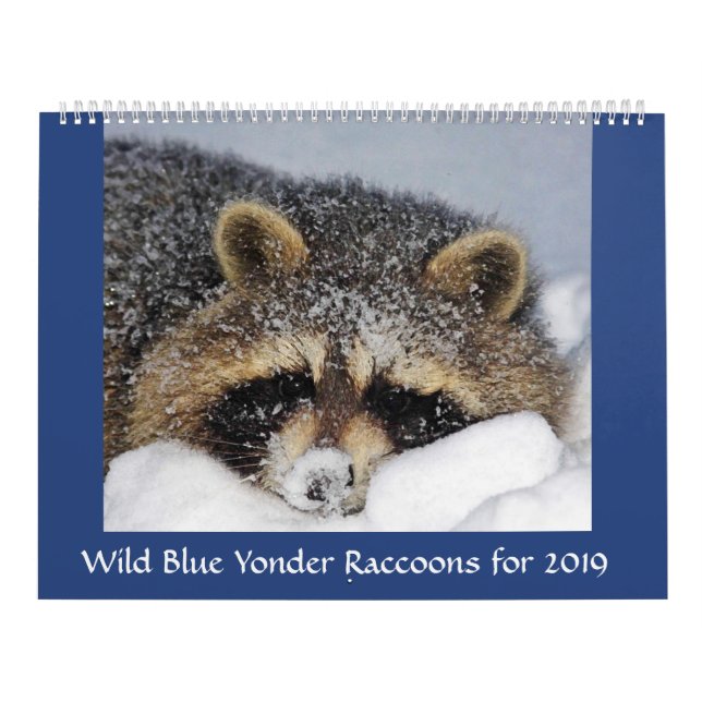 Raccoon Rescue & Release at Wild Blue Yonder 2019 Calendar (Cover)
