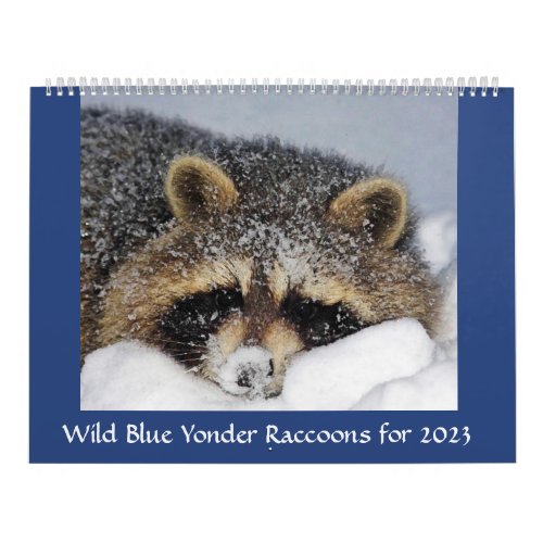 Raccoon Rescue  Release at Wild Blue Yonder 2023 Calendar