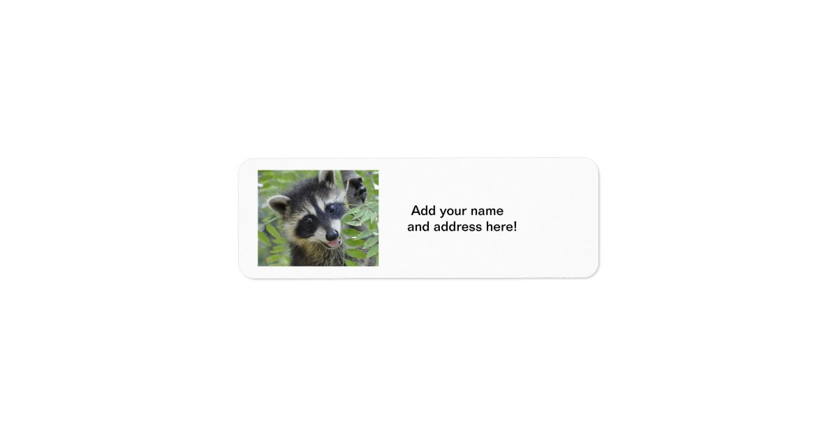 Raccoon Return Address Labels | Zazzle