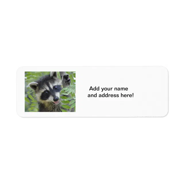 Raccoon Return Address Labels | Zazzle