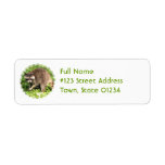Raccoon Return Address Mailing Label