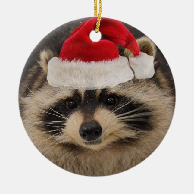 Raccoon Santa ornament (Front)