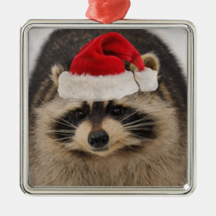 Raccoon santa ornament