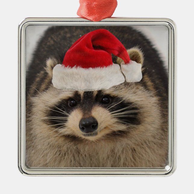 Raccoon santa ornament (Front)