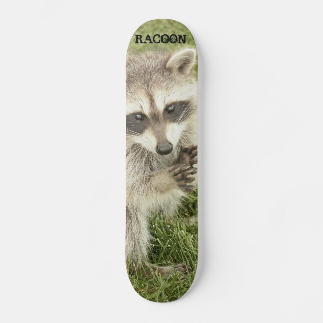Raccoon Skateboard Deck (Front)