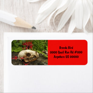 Raccoon skull old log with ferns and red Monarda Label