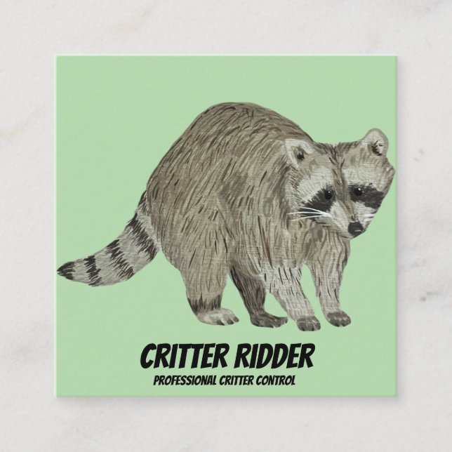 Raccoon Square Business Card (Front)