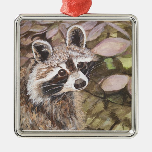 Raccoon  Square Ornament (Front)