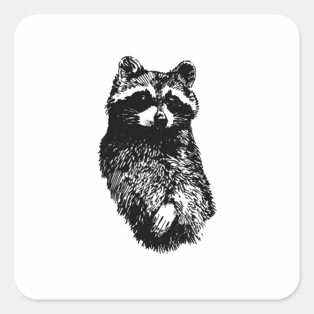 Raccoon Square Sticker (Front)