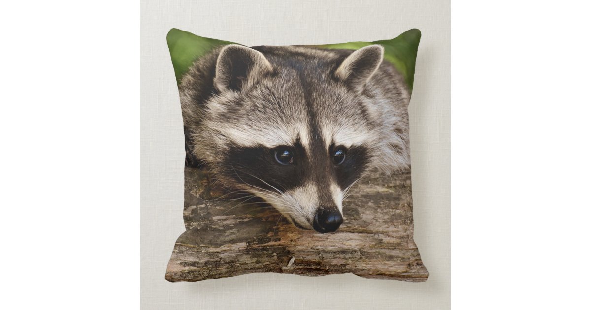 racoon body pillow