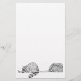 Raccoon Stationery