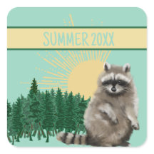 Raccoon Summer