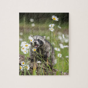 Raccoon Surprise Jigsaw Puzzle