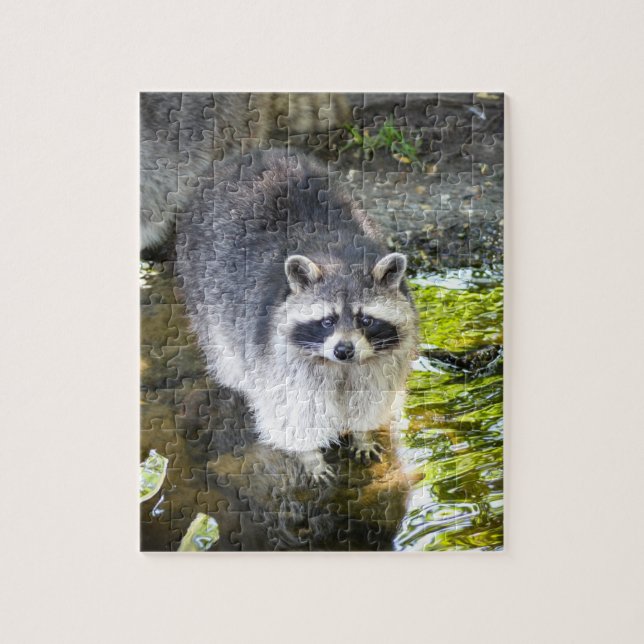 Raccoon Swimming in River Water Jigsaw Puzzle (Vertical)