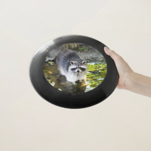 Raccoon Swimming in River Water Wham-O Frisbee