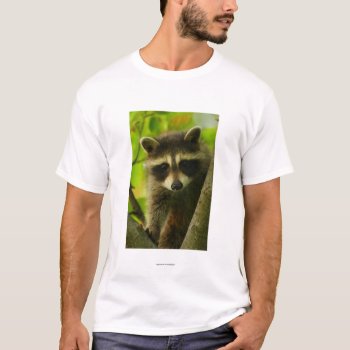 Raccoon T-shirt by WorldDesign at Zazzle